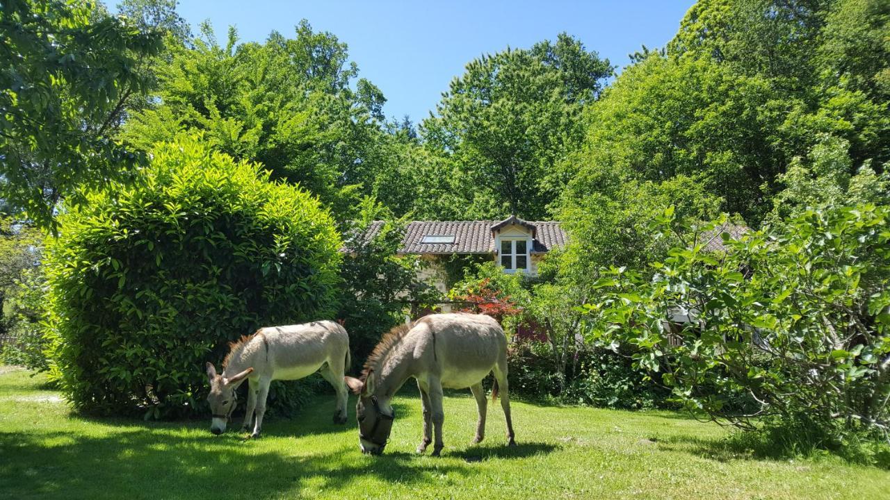 Le Moulin De Pensol - Gites Εξωτερικό φωτογραφία