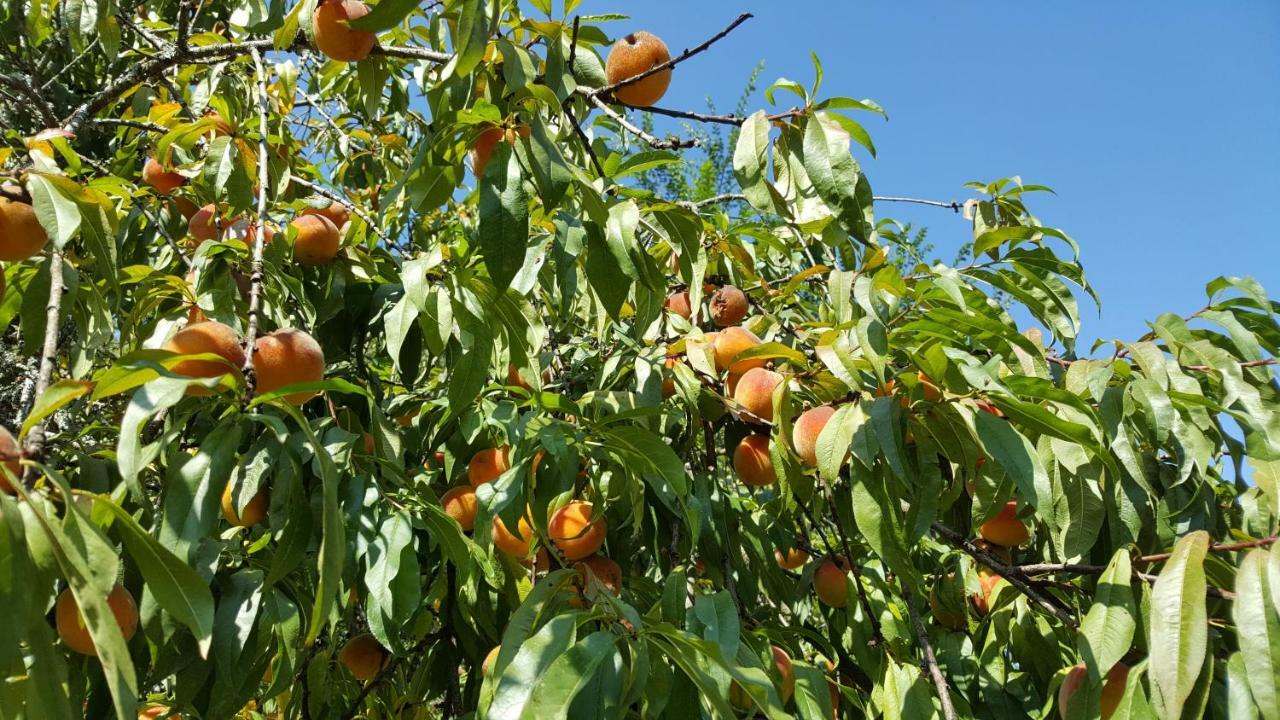 Le Moulin De Pensol - Gites Εξωτερικό φωτογραφία