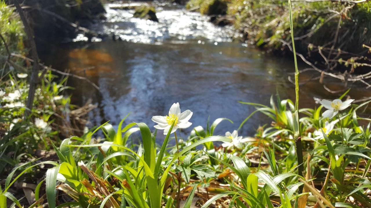 Le Moulin De Pensol - Gites Εξωτερικό φωτογραφία